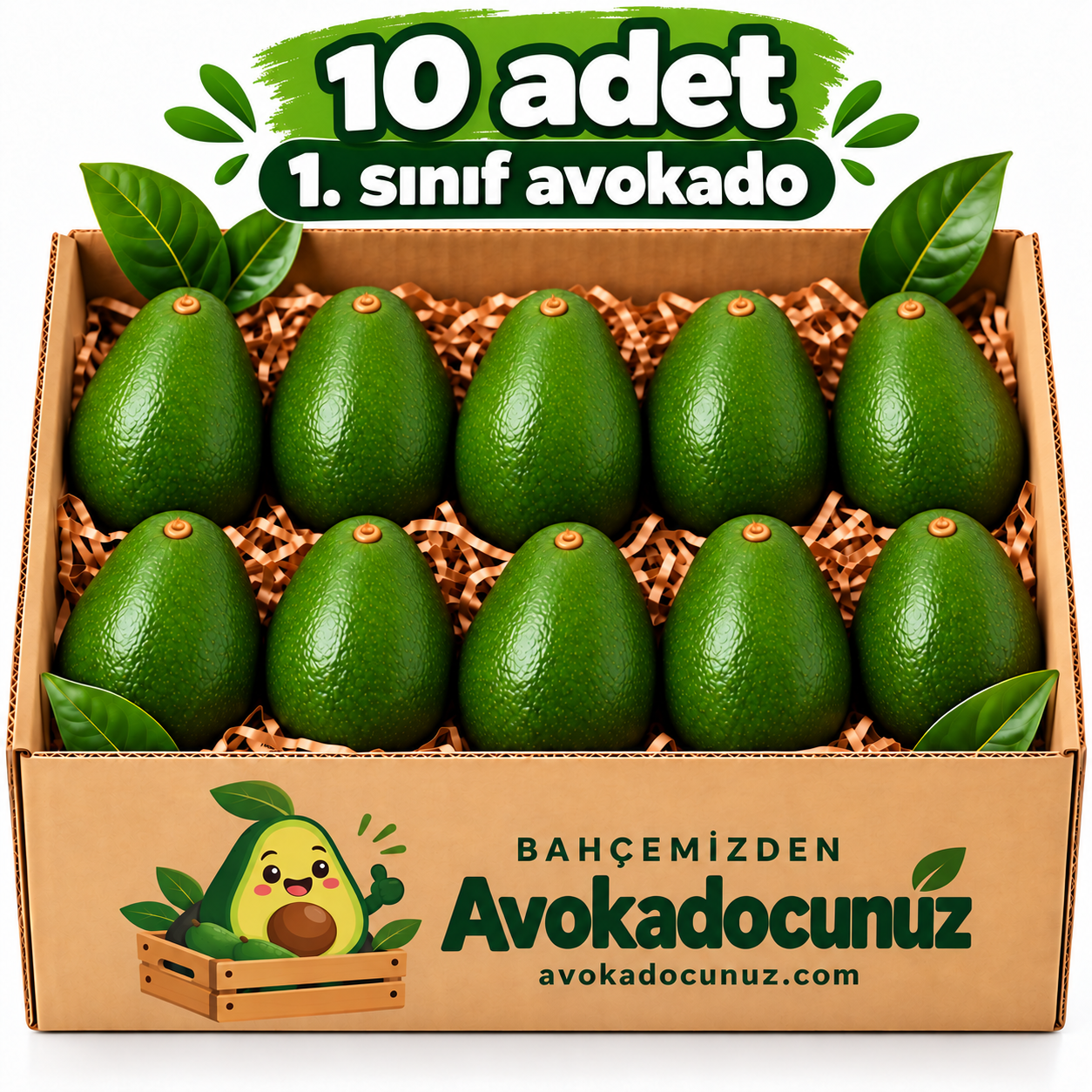 10 Adet Avokado
